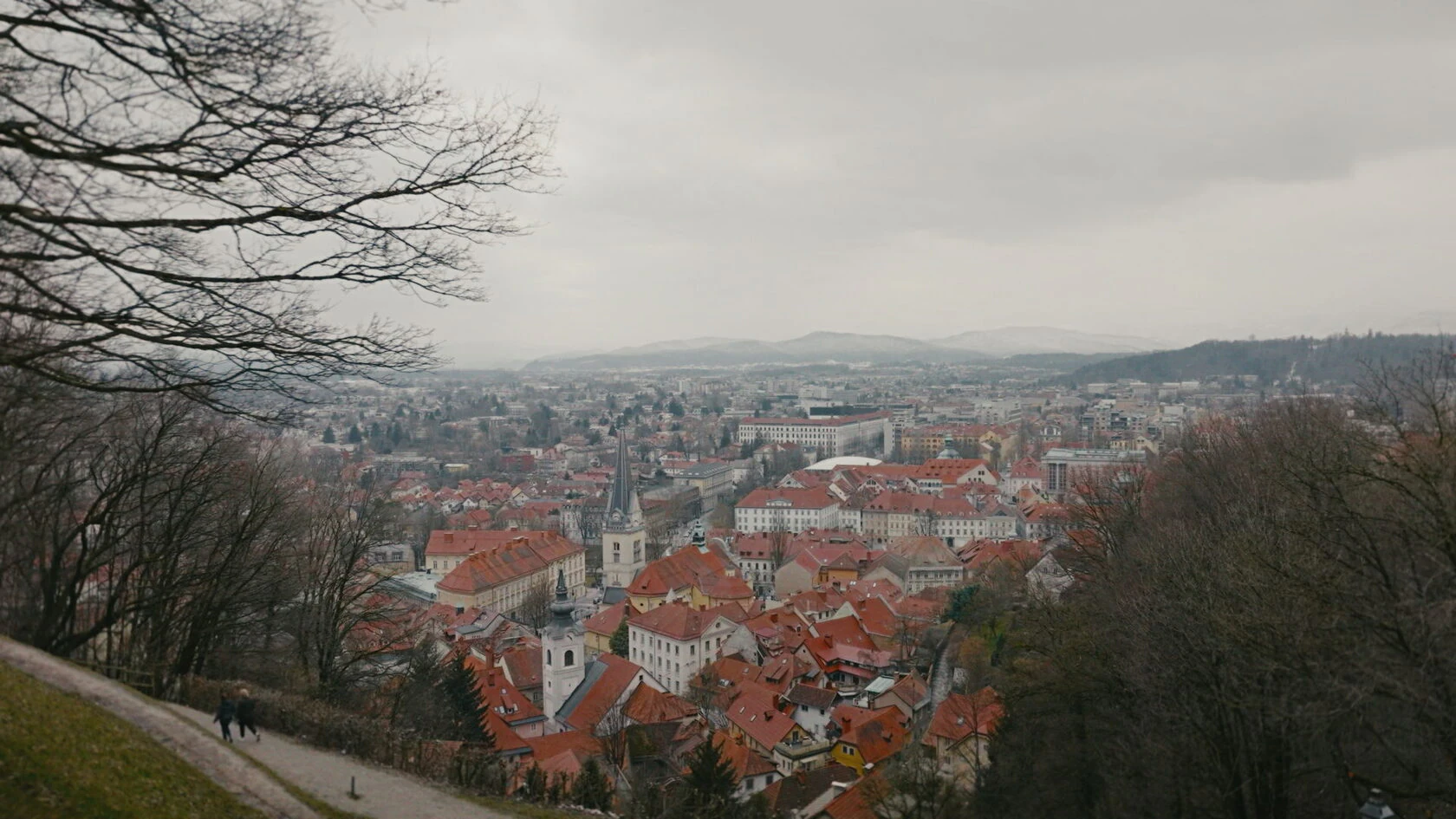 BBC Bio series - Krka — кадр 36