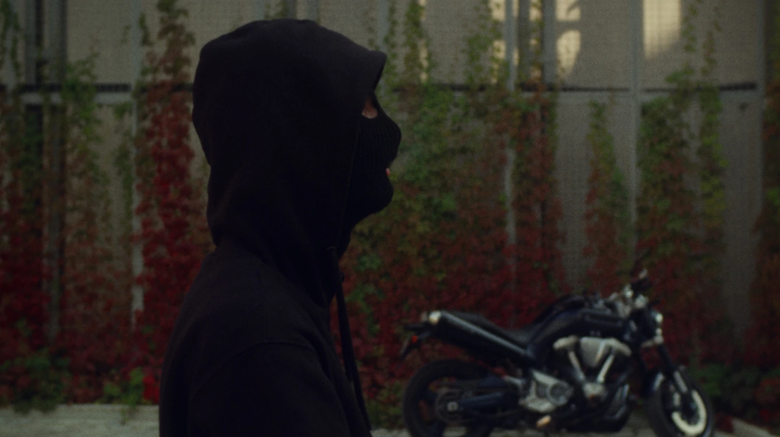 THUG — кадр 16