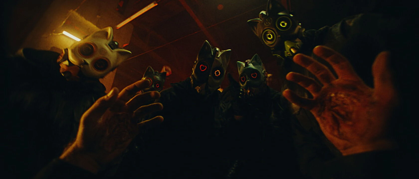 MEOW - Shambala — кадр 5