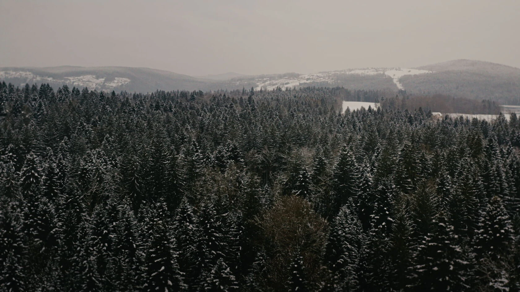 BBC Bio series - Krka — кадр 7